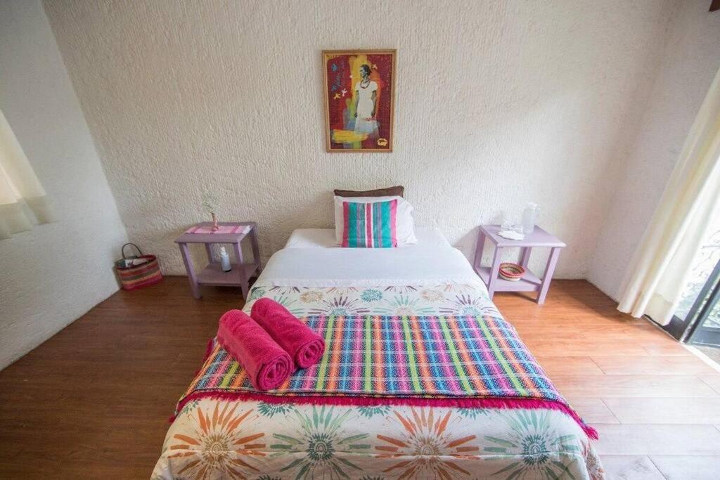 Villa Casa Ayvar. Espectacular Villa Colonial En El Corazon De Coyoacan. Μεξικό Εξωτερικό φωτογραφία