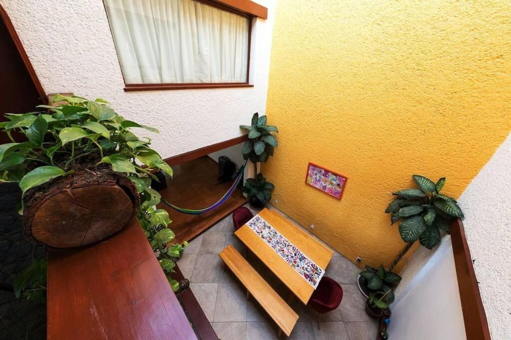Villa Casa Ayvar. Espectacular Villa Colonial En El Corazon De Coyoacan. Μεξικό Εξωτερικό φωτογραφία