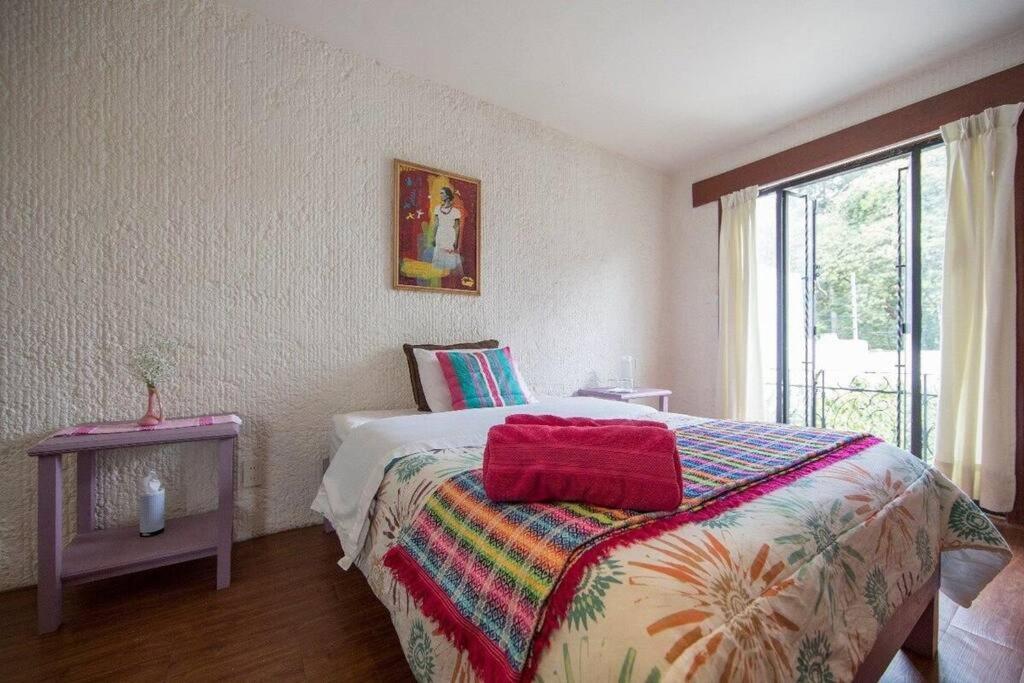 Villa Casa Ayvar. Espectacular Villa Colonial En El Corazon De Coyoacan. Μεξικό Εξωτερικό φωτογραφία